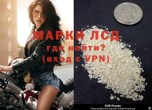 apvp Ельня
