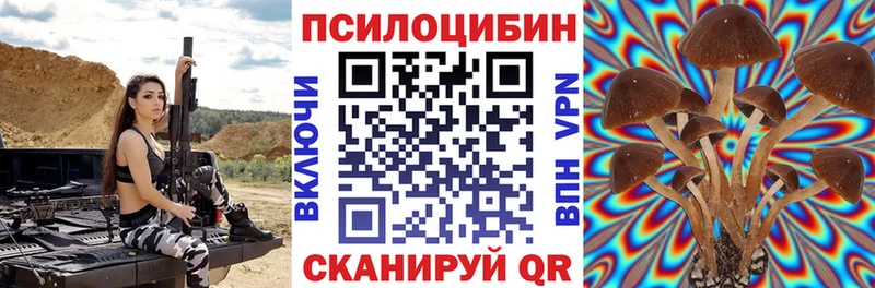Псилоцибиновые грибы Psilocybe  Слободской 